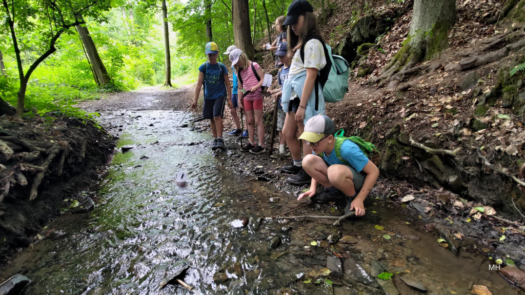 Drahaňská rokle 2025